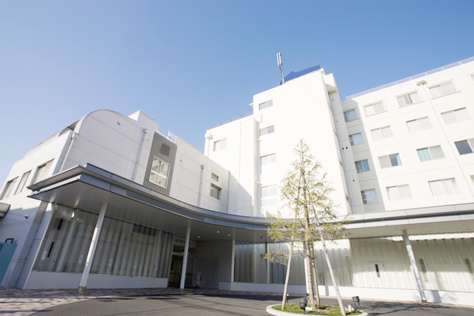 大学病院との連携を行っています